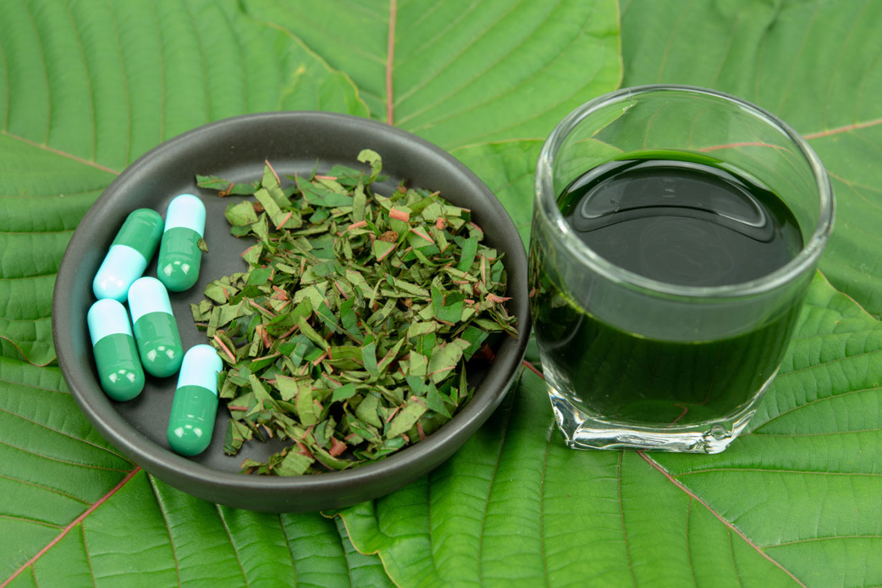 Decoding Kratom Strains A Personalized Approach to Herbal Relief