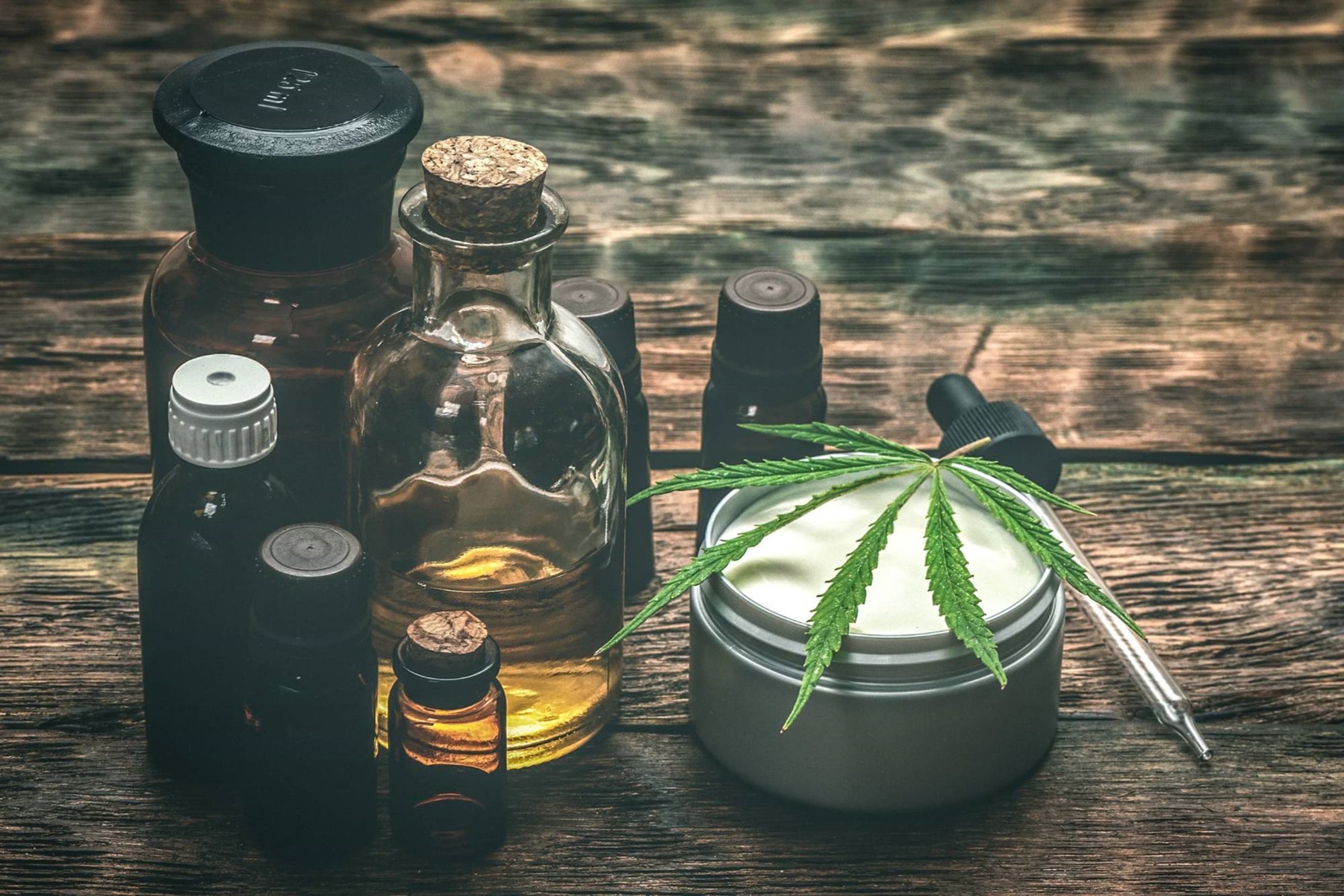 Top Benefits of CBD Oil for Dogs: A Complete Guide