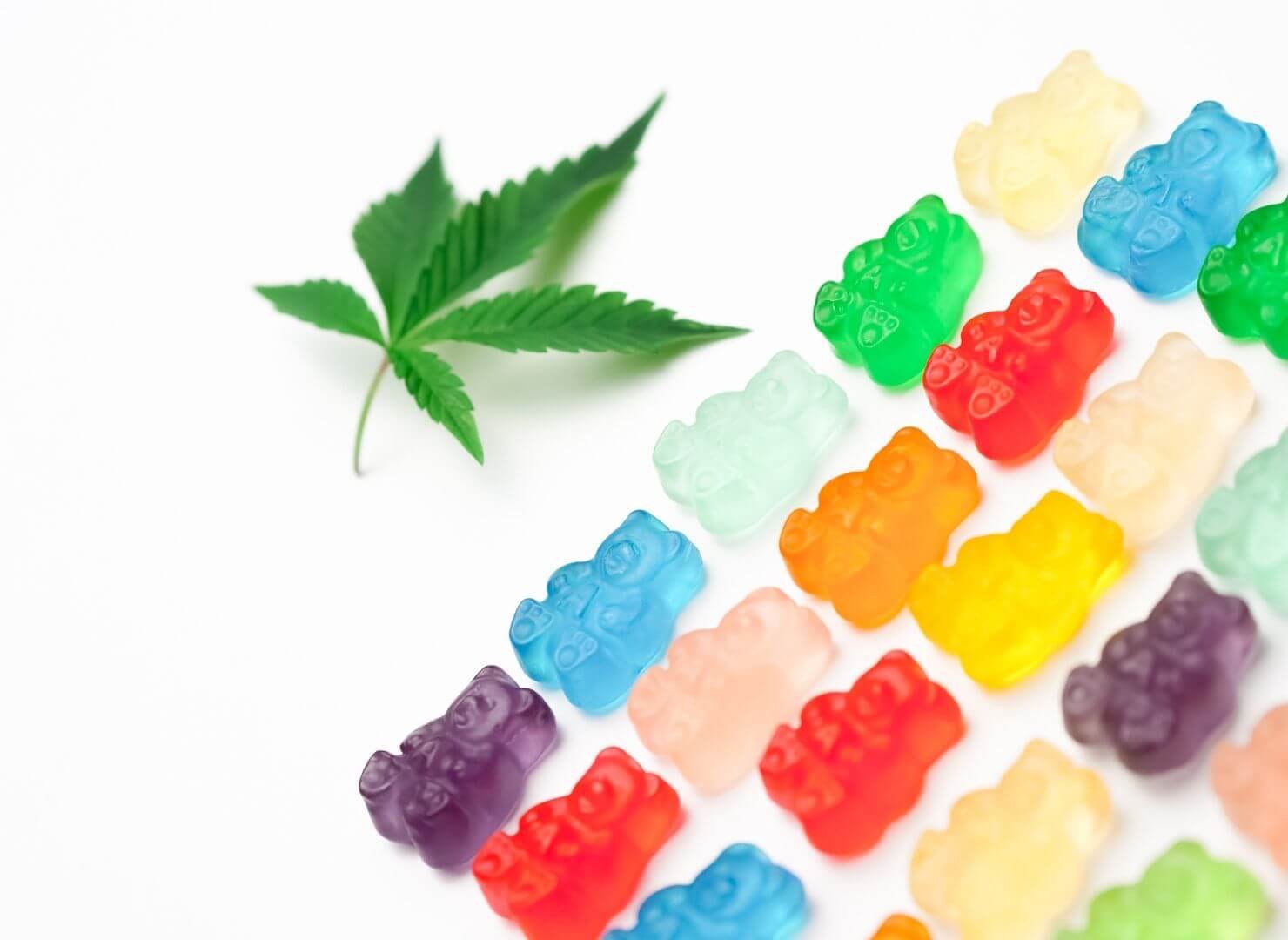 Sweet Relief in Every Bite Why CBD Gummies Are a Game Changer